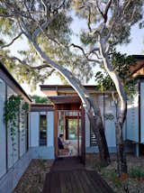 Outdoor, Front Yard, Trees, Flowers, Walkways, Gardens, and Hardscapes  Outdoor Gardens Flowers Trees Photos from Vegetation Cocoons This Tranquil Beach House in Australia