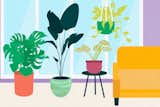 Dwell On This: It’s Time to Rearrange Your Plants