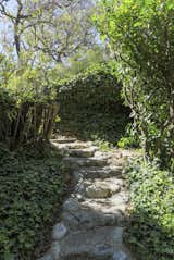 A stone pathway leads to the second home at the back of the .57-acre compound.  Photo 15 of 22 in A Lush Los Angeles Compound With a Shingle-Clad Cottage and Lime-Green Home Seeks $2M