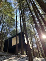 A Group of Friends Build an Off-Grid Tree House in New York for $20K - Photo 13 of 17 - 