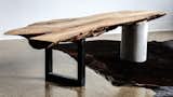 A spalted maple end-cut bench with legs made from ebonized oak and concrete