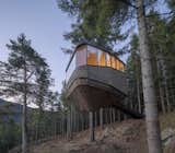 Two rentable dwellings suspended from living trees bring a couple’s dream to life.