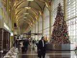 A Christmas tree decks the terminal at National Airport outside of Washington, DC.