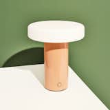  Mike Chino’s Saves from In Common With Puck Table Lamp