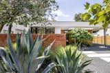 Outdoor, Trees, Walkways, Shrubs, Hardscapes, and Front Yard The Pemberton Residence in Austin, Texas, was designed by local firm Alterstudio with inspiration from California modernist design.  Photo 1 of 12 in This Eichler-Inspired Dwelling in Austin Boasts Serious Curve Appeal