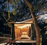 Four Tree House–Like Pods Form an Enchanting Retreat in Mexico - Photo 9 of 9 - 