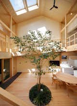 A skylight illuminates this house in Kyoto designed by architect Joe Chikamori of 07Beach. Since the compact site and programming left little room for a backyard garden, the living area was developed as an interior courtyard situated around an indoor ficus tree. The house also features plenty of Hinoki wood, which is soft to walk on and has good heat insulation properties.