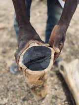 African blackwood is particularly sought after to create musical instruments, such as clarinets or guitars, but unsustainable logging efforts now support mass-manufactured flooring as well.&nbsp;