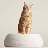 Tuft + Paw Puff Cat Bed