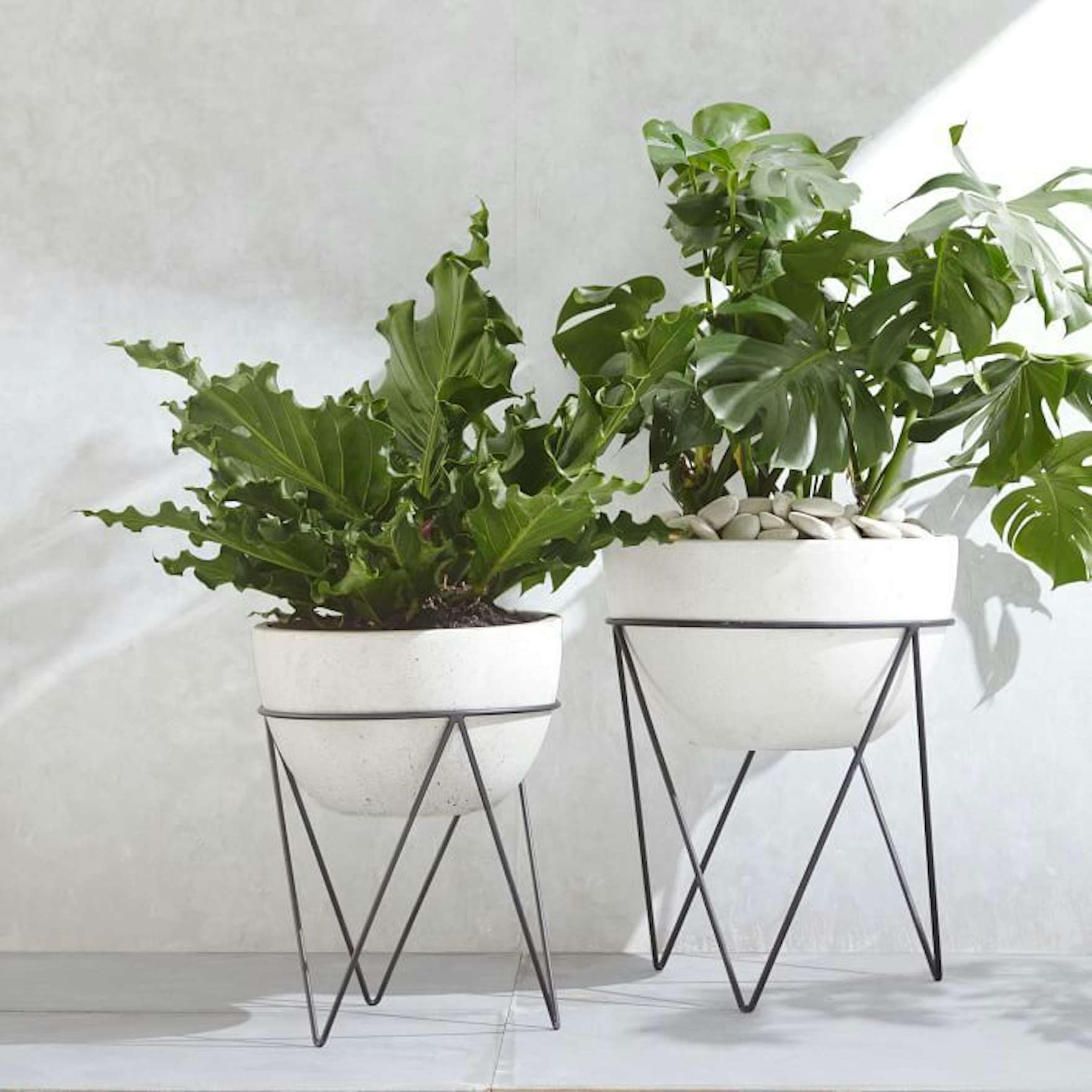 Discover the best pod-indooroutdoor-planters.html products on Dwell - Dwell