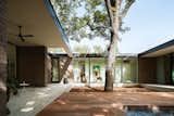 In the large central courtyard, a heritage pecan tree rises above the roofline, and a 10-by-30-foot pool is set into the ipe wood deck.
