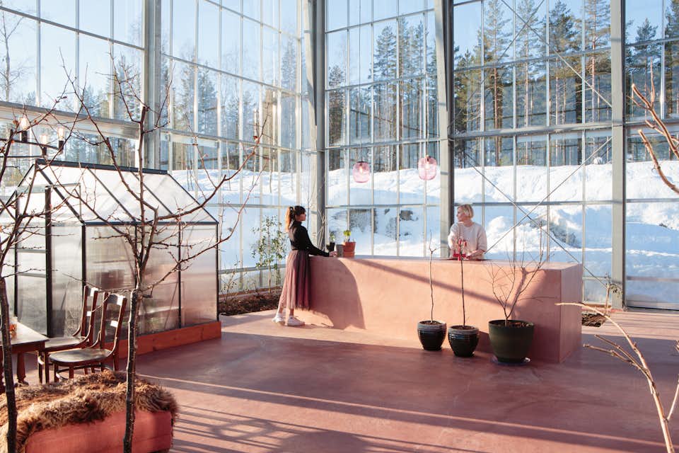 In a Remote Norwegian Forest, a Family Home Sprouts Inside a Luminous