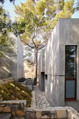 A stone walkway shaded by towering trees connects the property’s three concrete structures.&nbsp;