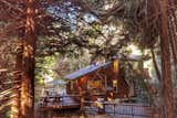 Enveloped in a grove of redwoods, the cabin on the property offers 1,200 square feet of remodeled living space.