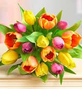 1800Flowers Mother's Day Radiant Tulips