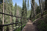 A private trail system weaves throughout the 27-acre property and leads to a flowing creek.