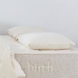 Birch Organic Pillow