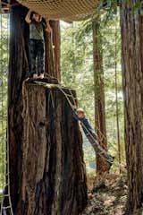 Upper Tree House-Jay Nelson
