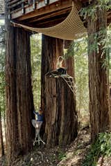Upper Tree House-Jay Nelson

