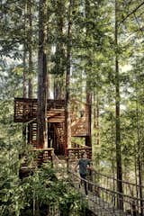 Woven into a stand of redwoods on Jason Titus and Nerija Sinkevičiūtė-Titus’s property in the Santa Cruz Mountains, a tree house by San Francisco designer/artist Jay Nelson gives the couple and their three boys a new perspective on the forest.