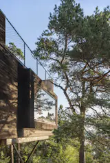 Like the rocks, the trees on the property were left untouched.