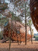 The Seeds by ZJJZ Atelier pod exterior