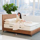 Avocado Natural Wood Bed Frame
