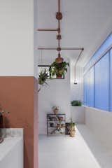 A Deteriorating 1950s Apartment in São Paulo Gets Revamped and Greened-Up - Photo 10 of 14 - 
