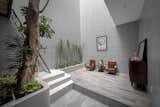 A Light-Filled Atrium With a Tree House Anchors a Narrow Residence in Vietnam - Photo 6 of 13 - 
