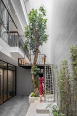 Vietnam-based firm Story Architecture designed this 1,259-square-foot home for a young family in Ho Chi Minh City’s District 7. In the light-filled atrium, a tree with a built-in climbing structure provides a unique indoor playground for the children.&nbsp;&nbsp;