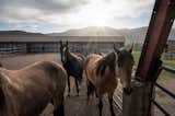A peek at the numerous horses housed on the ranch throughout the years.  Photo 4 of 13 in Robert Redford Lists His Horse Whisper Ranch in Utah for $4.9M