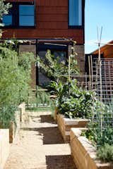 A Multigenerational Home Complete With Vegetable Gardens Rises in Central Melbourne - Photo 13 of 14 - 
