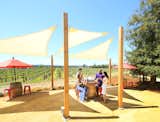 Hook &amp; Ladder Winery outfitted its grounds with redwood, which, known for its natural durability and fire-resistant properties, remains a go-to for hardworking outdoor structures.&nbsp;