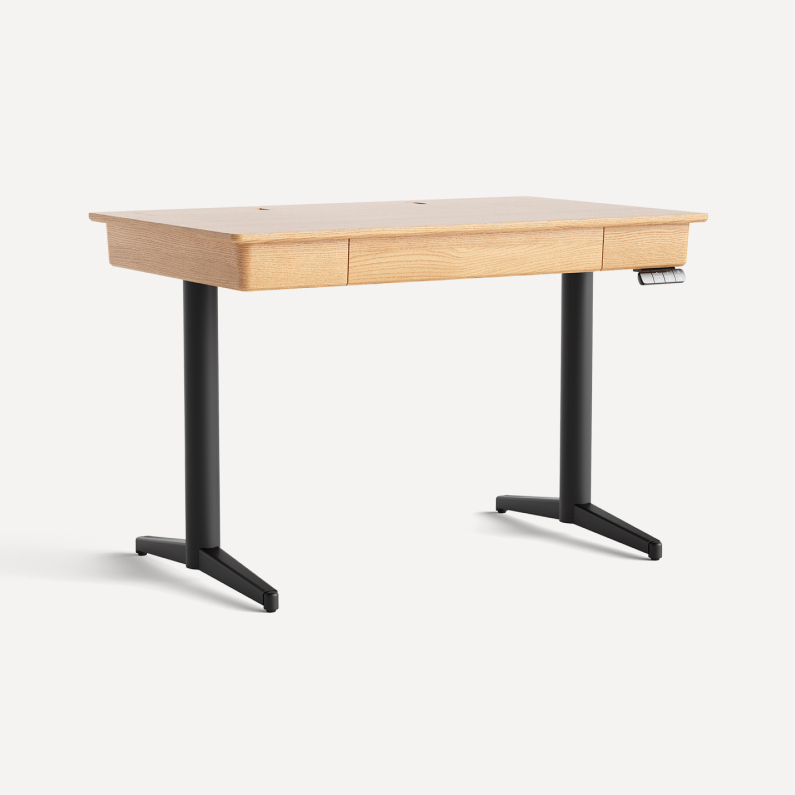 Burrow Copilot Standing Desk