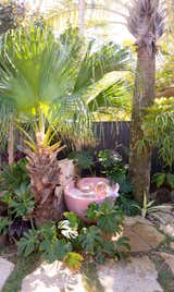 In one of several distinct outdoor spaces, a pink terrazzo tub creates an oasis under the palms.