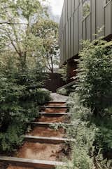 <span style="font-family: Theinhardt, -apple-system, BlinkMacSystemFont, &quot;Segoe UI&quot;, Roboto, Oxygen-Sans, Ubuntu, Cantarell, &quot;Helvetica Neue&quot;, sans-serif;">Gently graded steps covered in pine needles wander through the home’s L-shaped garden, designed by landscape architect Michael Van Valkenburgh. A</span><span style="font-family: Theinhardt, -apple-system, BlinkMacSystemFont, &quot;Segoe UI&quot;, Roboto, Oxygen-Sans, Ubuntu, Cantarell, &quot;Helvetica Neue&quot;, sans-serif;">six-foot-tall wooden fence shields the garden from the street, adding to the feeling of refuge. “The idea behind the garden is the opposite of minimalism,” says Van Valkenburgh. “It’s about complexity and a range of experiences and shifts. These are what make it absorbing.” </span>