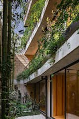 A Mexico City Apartment Building Offers Lush Terraces Clad in Concrete and Steel - Photo 8 of 10 - 