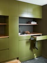 Laundry Room, Concealed, and Colorful Cabinet  Photo 1 of 23 in Love It or Hate It? Green Interiors by Dwell from A Cramped Melbourne Victorian Gets an Earthy Refresh Inspired by the Australian Bush