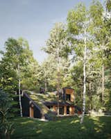 A Passive House on the Outskirts of Moscow Blends Into Its Forested Surroundings - Photo 1 of 7 - 