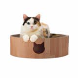 Necoichi Cozy Cat Scratcher Bowl Toy