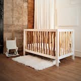 Milk Street Baby Branch Convertible Crib