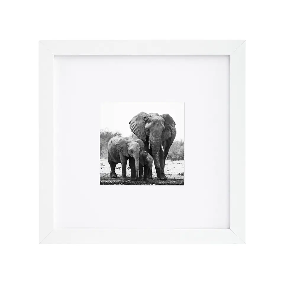 Shop Modern Decor More Picture Frames Dwell