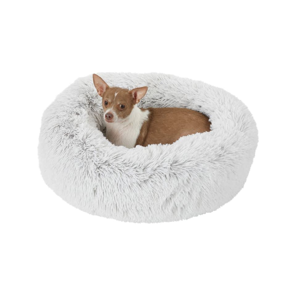 Frisco Eyelash Cat & Dog Bolster Bed by Chewy Dwell