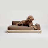 Crate and Barrel Linden Brown Medium Dog Day Bed
