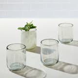 West Elm Recycled Mexican Glassware (Set of 4)