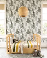 Chasing Paper’s Pacific Northwest wallpaper was designed by Max Humphrey.