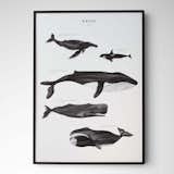 Whale Scale Print by Coco Lapine Design
