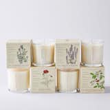 Kobo Plant The Box Scented Candle