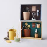 Modern Sprout Take Care Gift Sets