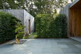 A hinoki cypress grows in the front courtyard between the garage and the main entrance.